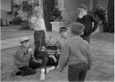 Opie And Friends